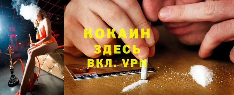 дарнет шоп  darknet наркотические препараты  Cocaine 99%  Железногорск 