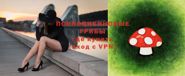 шишки Краснотурьинск