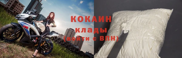 шишки Краснотурьинск