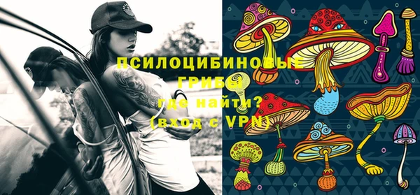 шишки Краснотурьинск