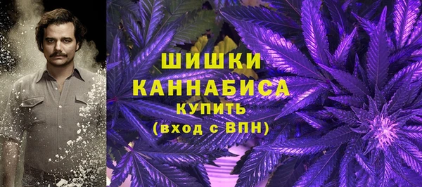 шишки Краснотурьинск